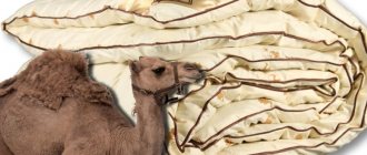 Как выбрать одеяло из верблюжьей шерсти: какой производитель лучше, отзывы