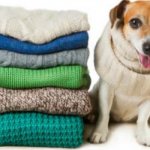 Сложенные свитера и собака